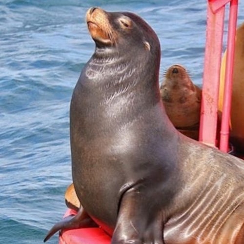 Tour Image 3
