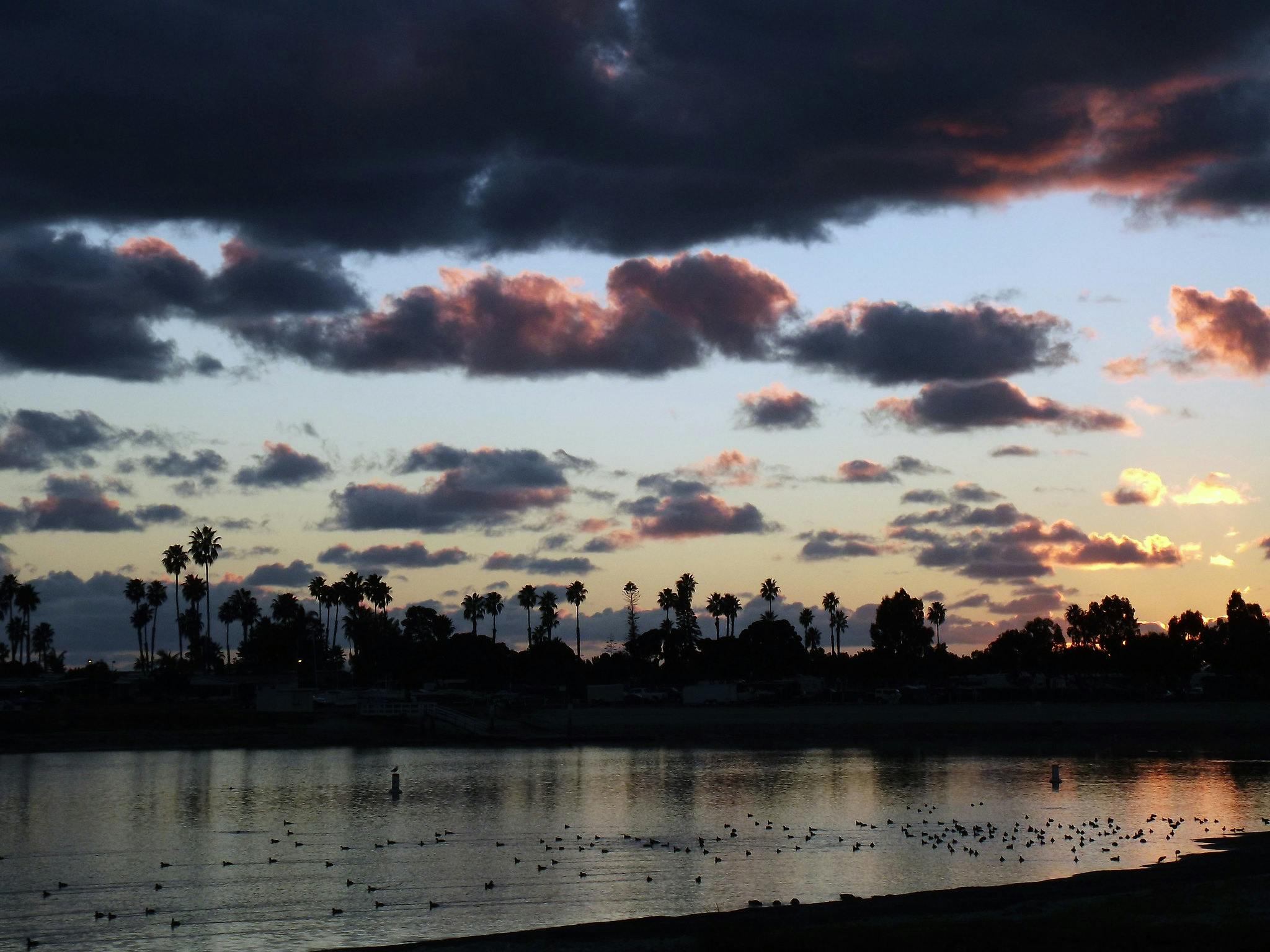 Mission Bay in San Diego
