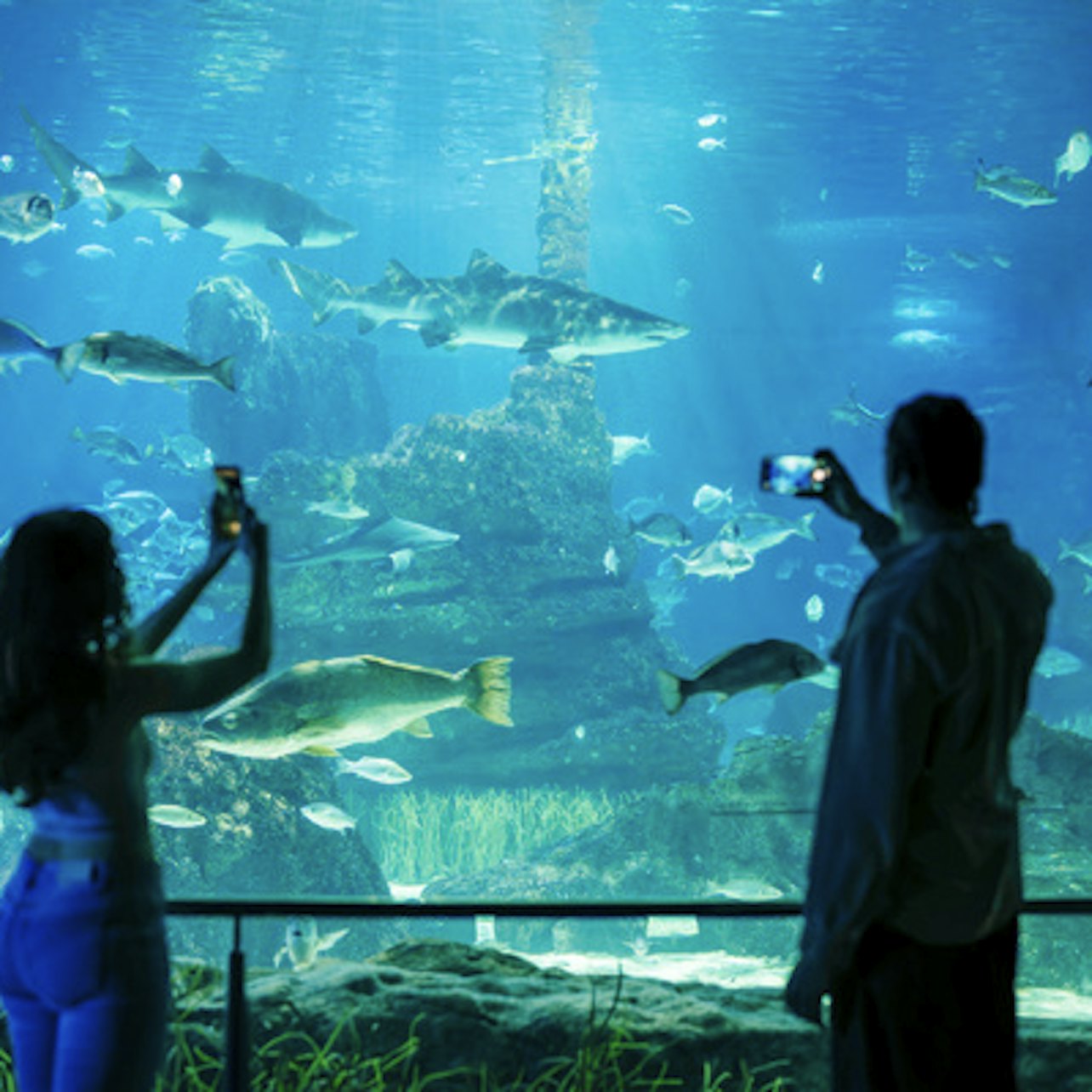 Barcelona Aquarium: Entry Ticket in Barcelona β Tiqets