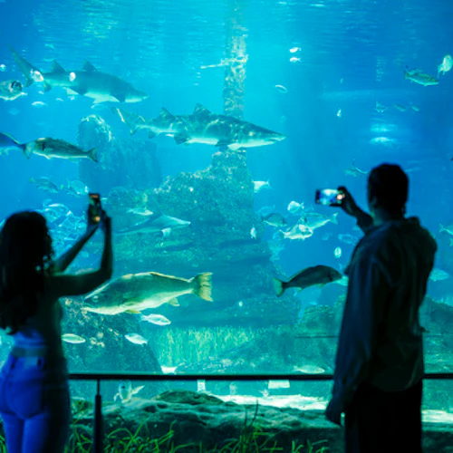 Barcelona Aquarium: Entry Ticket - Photo 3