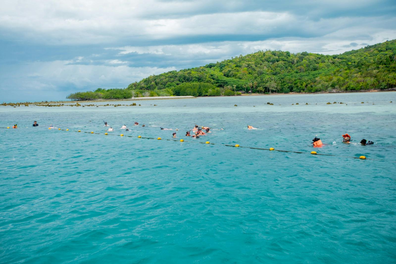 Tan & Pig Islands: Guided Speedboat Tour from Koh Samui + Pink Dolphin Spotting