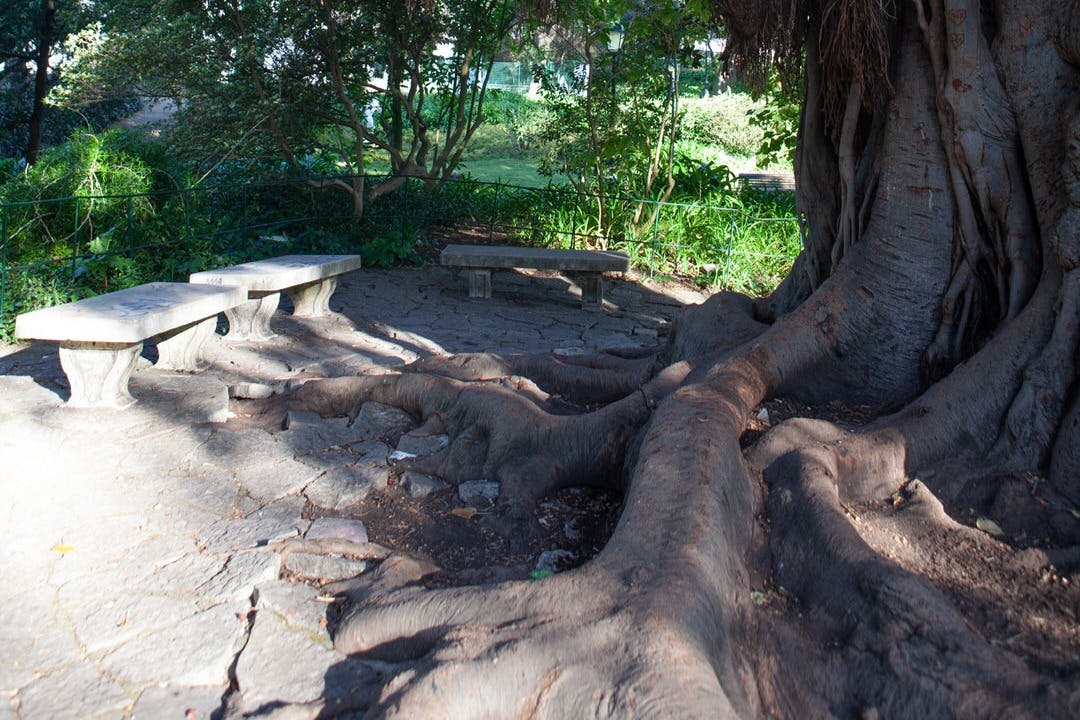 Estrela Park Lizbona
