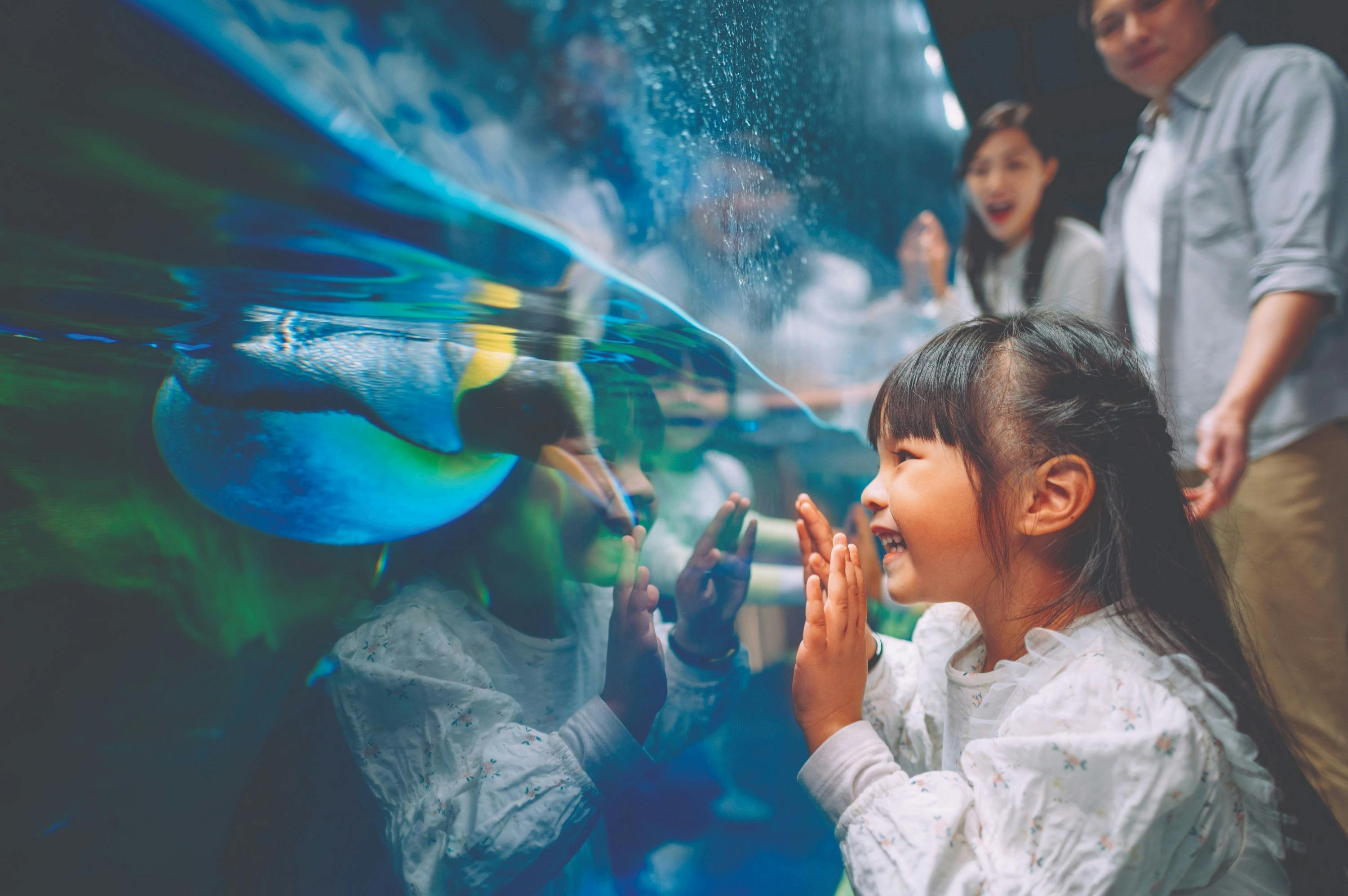 A young girl excitedly observing an aquarium, with family members in the background.