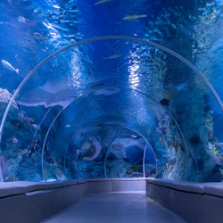 Emaar Aquarium