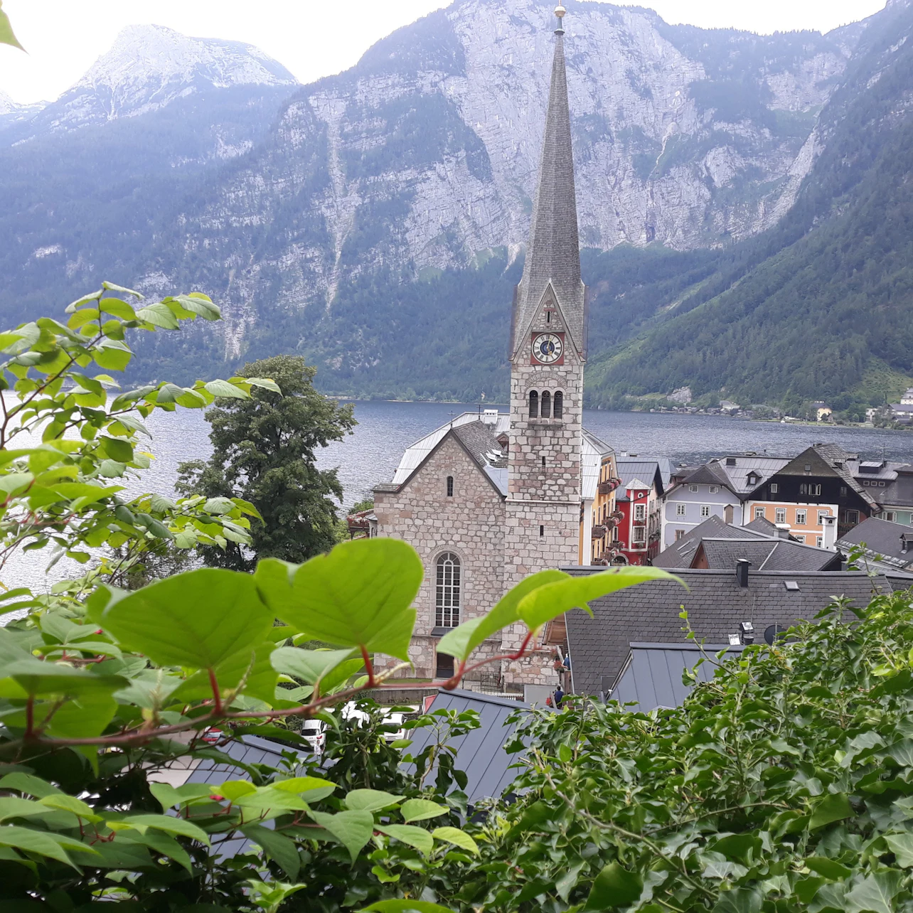 Slider Image