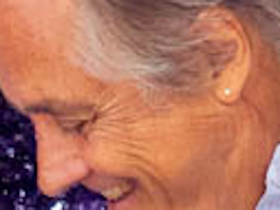 Photo of product