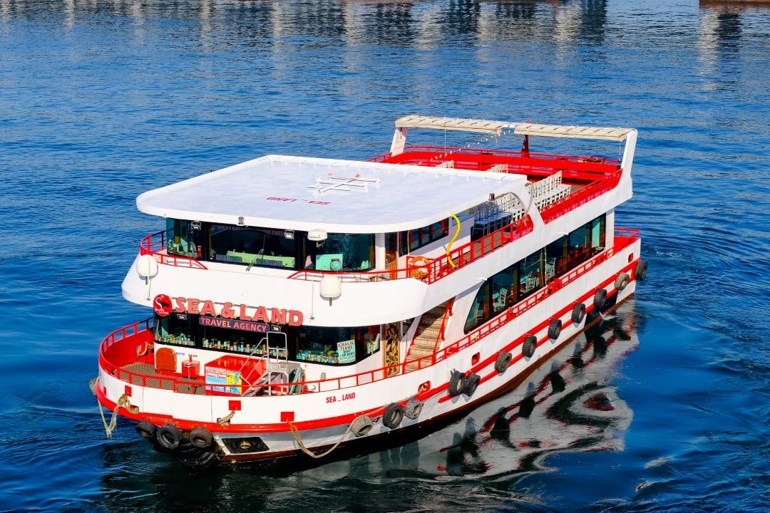 Istanbul: Bosphorus Sightseeing Cruise 5