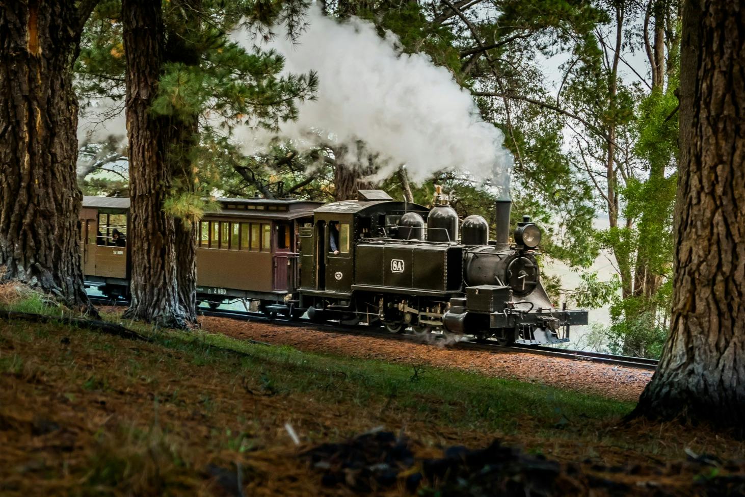 A vintage steam locomotive pulling a passenger car through a forested area, emitting white steam from its chimney.