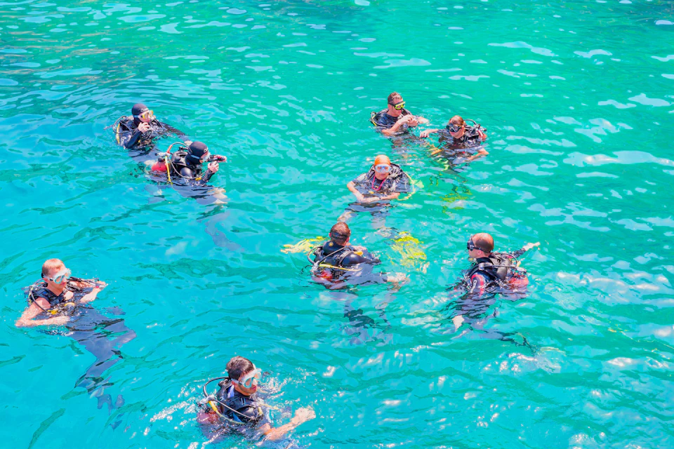 Divers with the instructor
