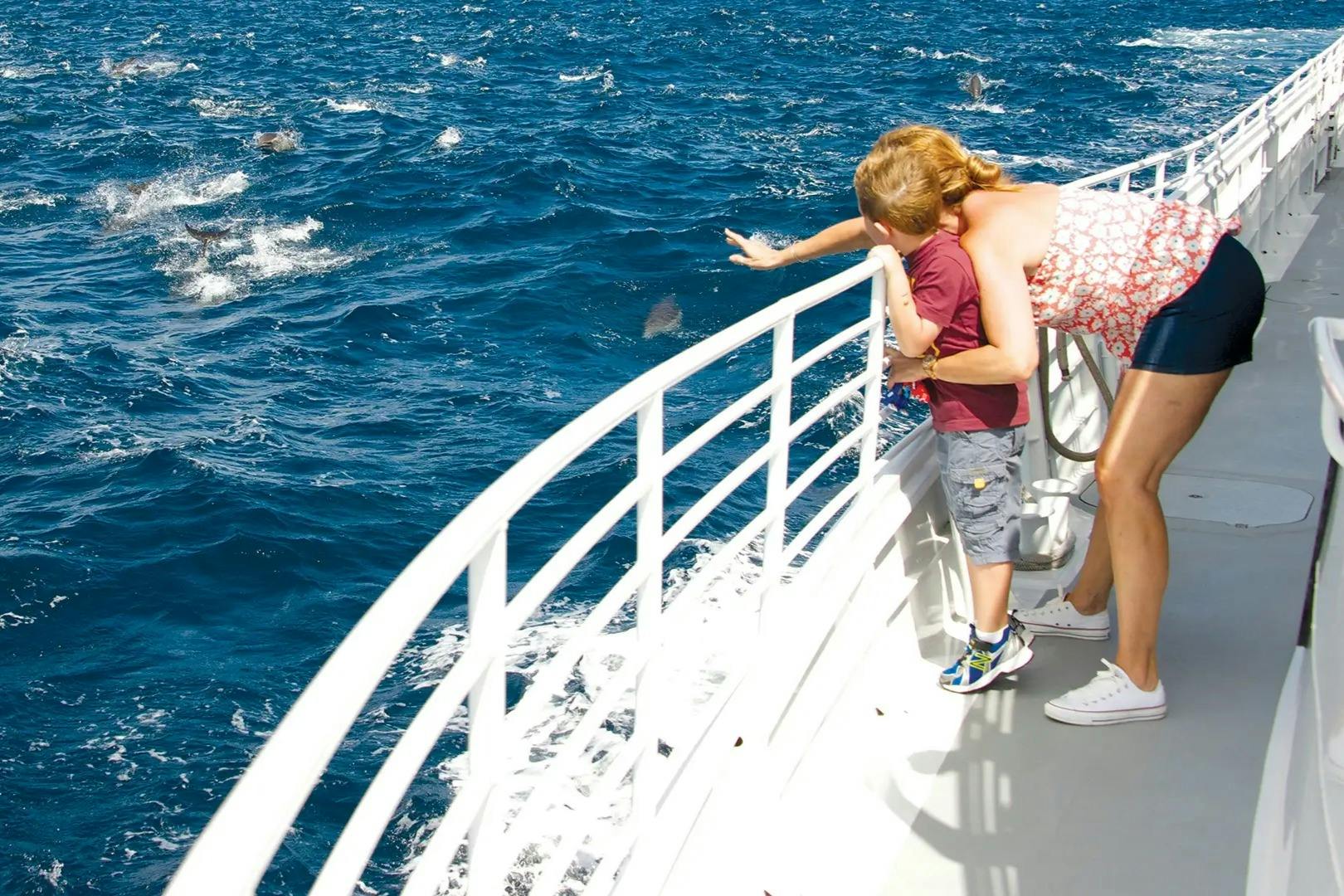 Long Beach Whale Watching & Dolphin