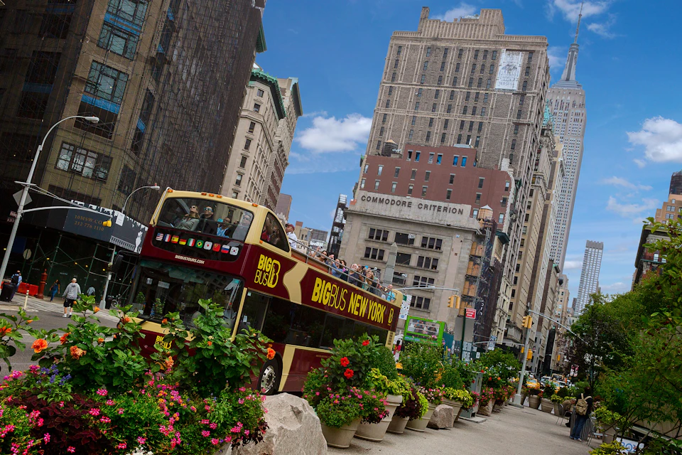 Immersive Guided Tour of Brooklyn