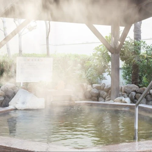 Naniwanoyu Natural Spa - Photo 3