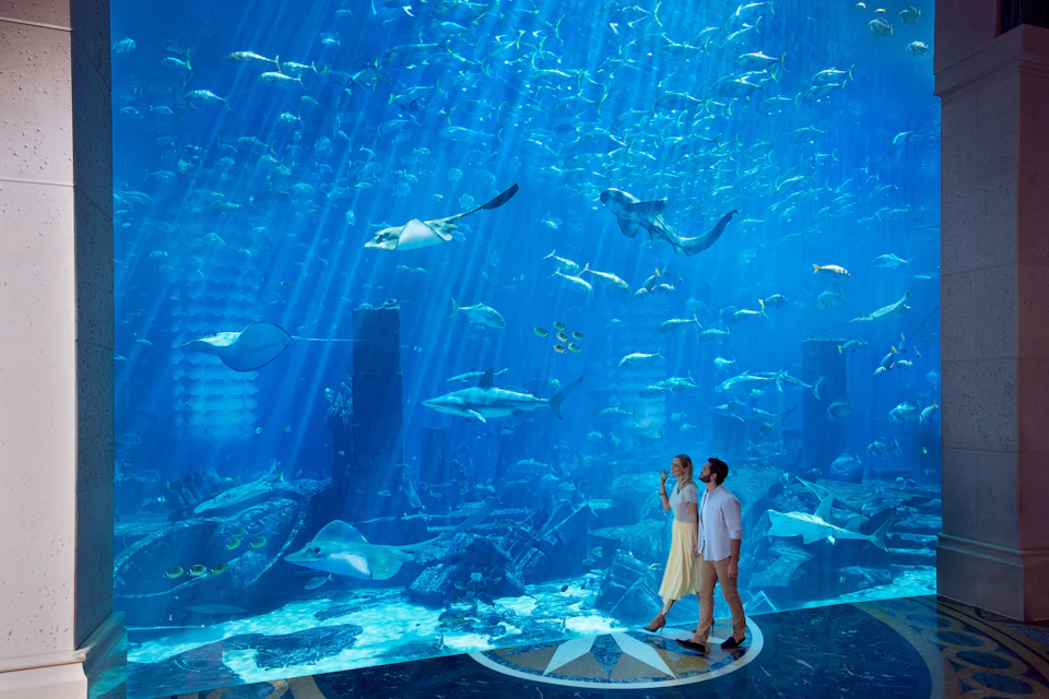 Atlantis The Palm