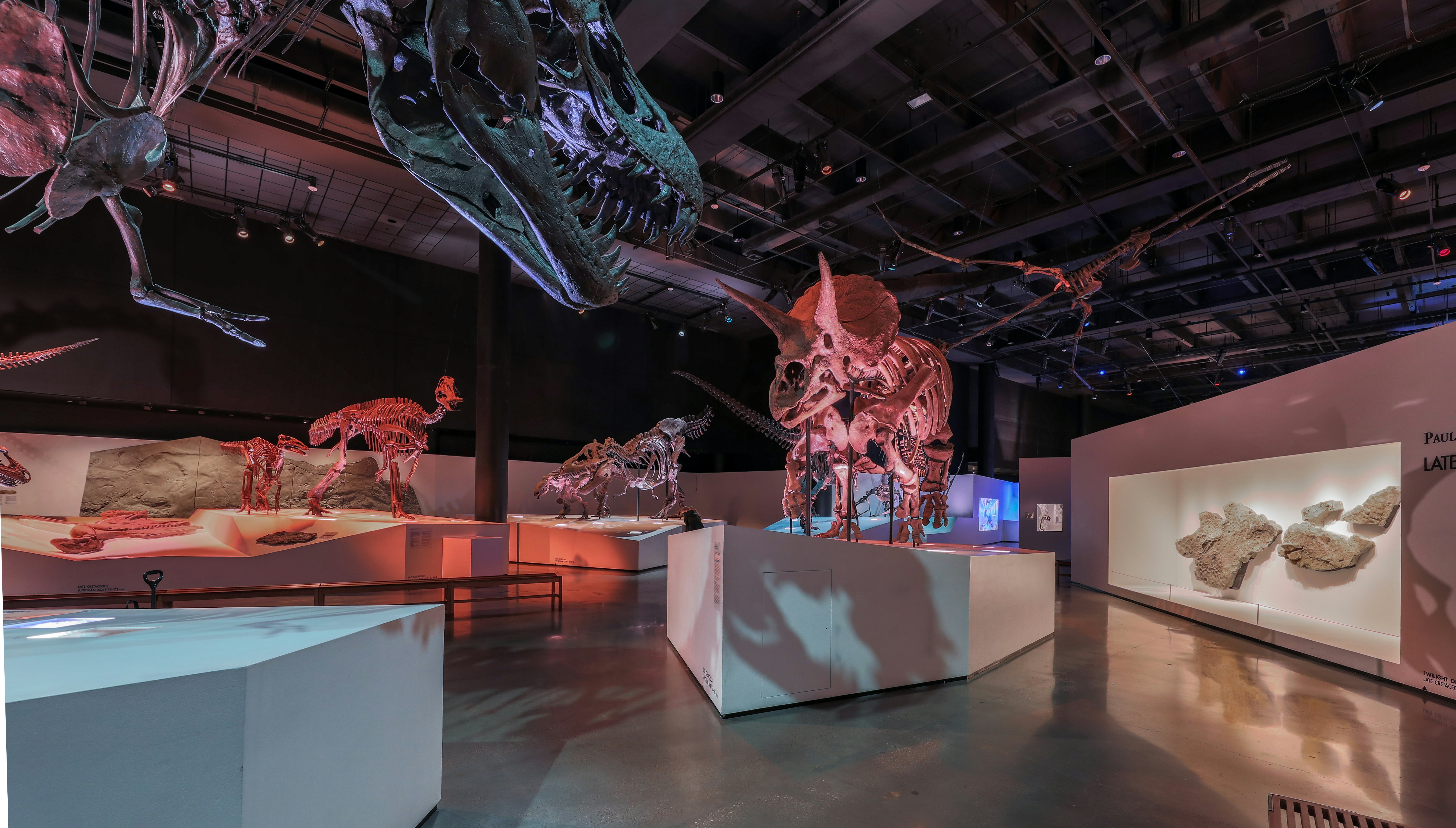 Houston Museum of Natural Science: Entry Ticket