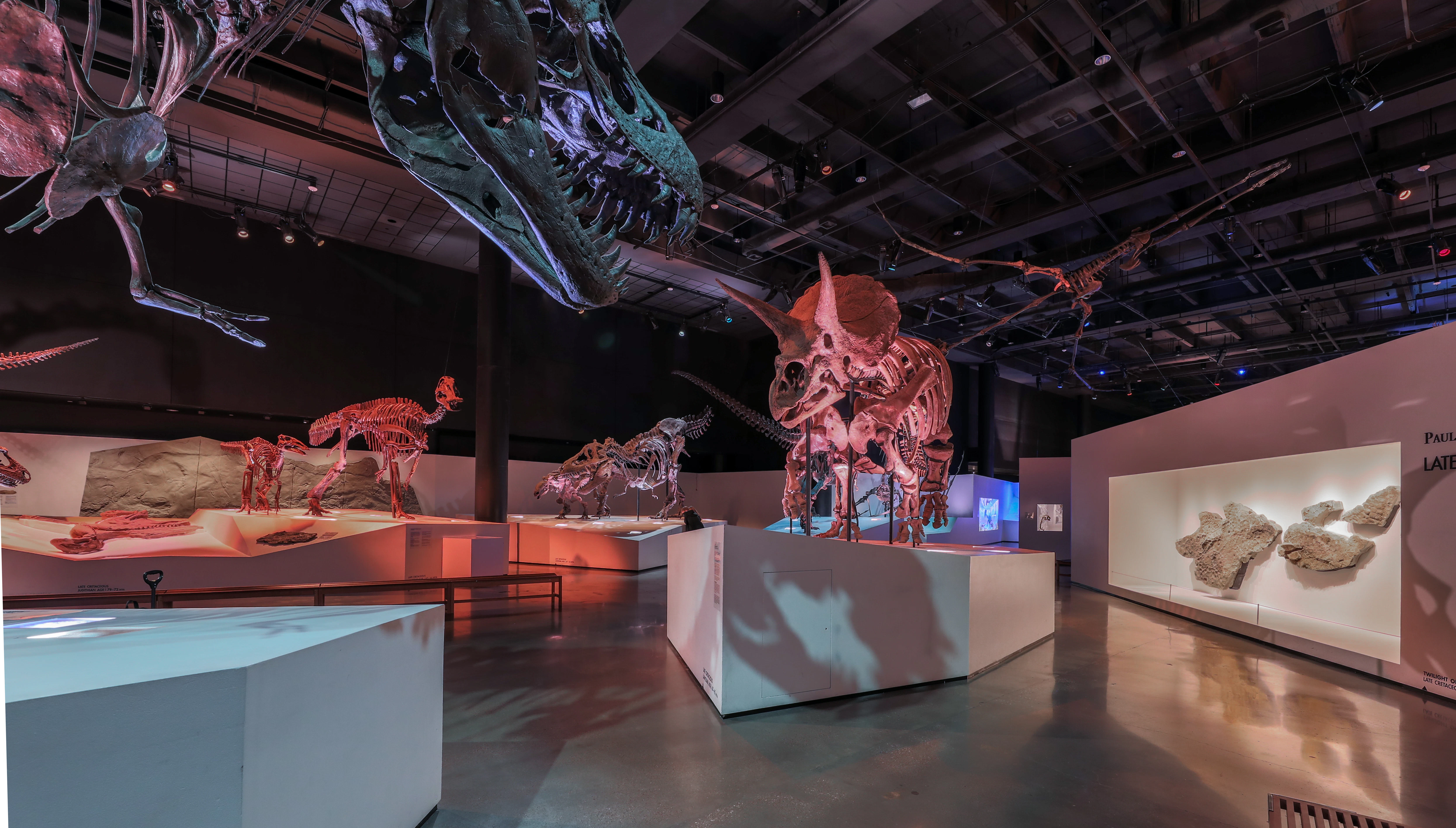 Museu de Ciência Natural de Houston: bilhete de entrada