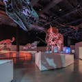 Dinosaurusskeletten in het Houston Museum of Natural Science
