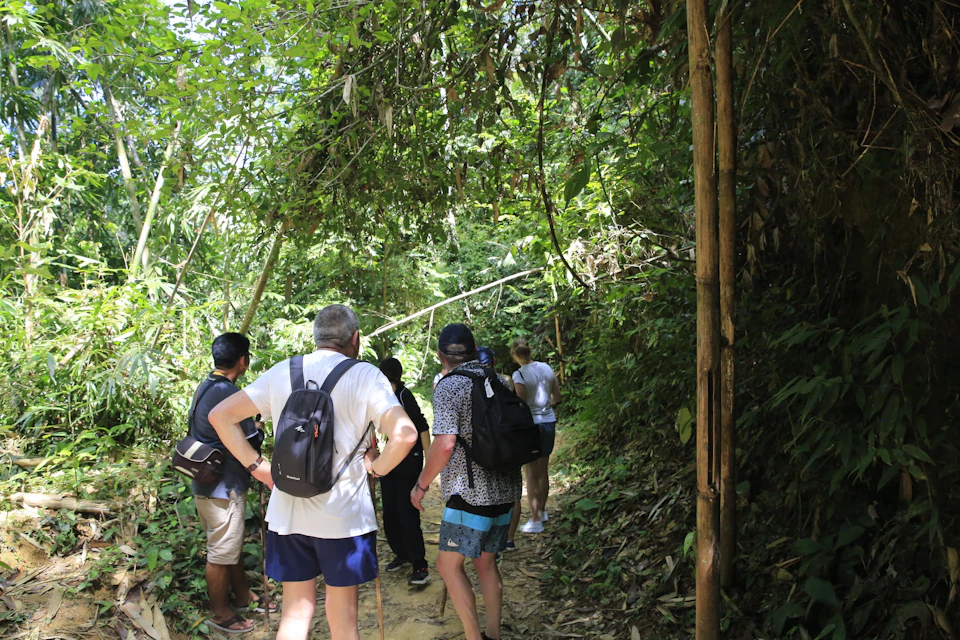 "Explore Khao Sok: Where Every Step Reveals Wildlife Wonders"