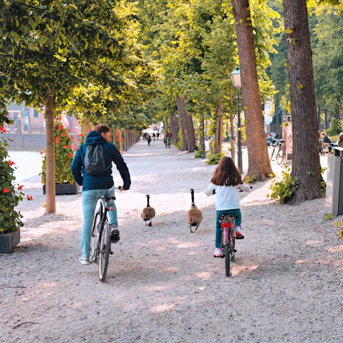 Tour de bicicleta em Haia - Photo 4