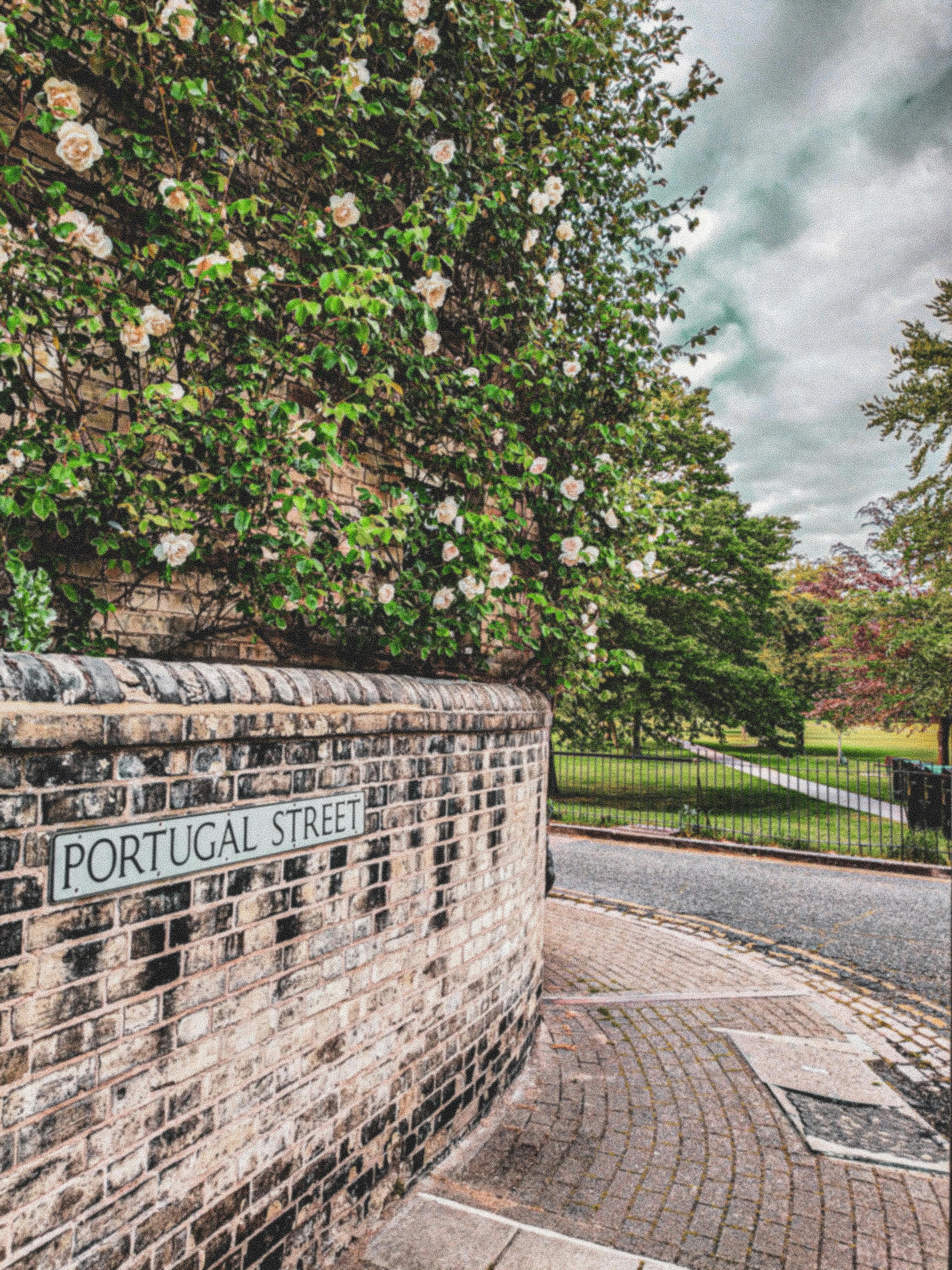 Cihlová zeď s nápisem „Portugal Street“, zarostlá bílými květy a zelení, vedle silnice vedoucí do parku se stromy.
