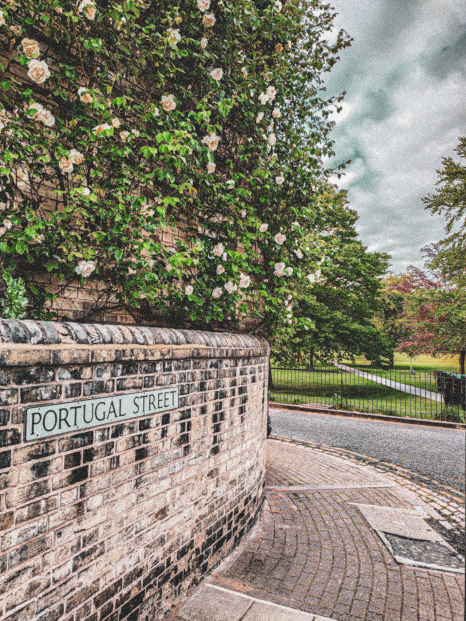 Brick wall with "Portugal Street" sign, overgrown with white flowers and greenery, beside a road leading to a park with trees.