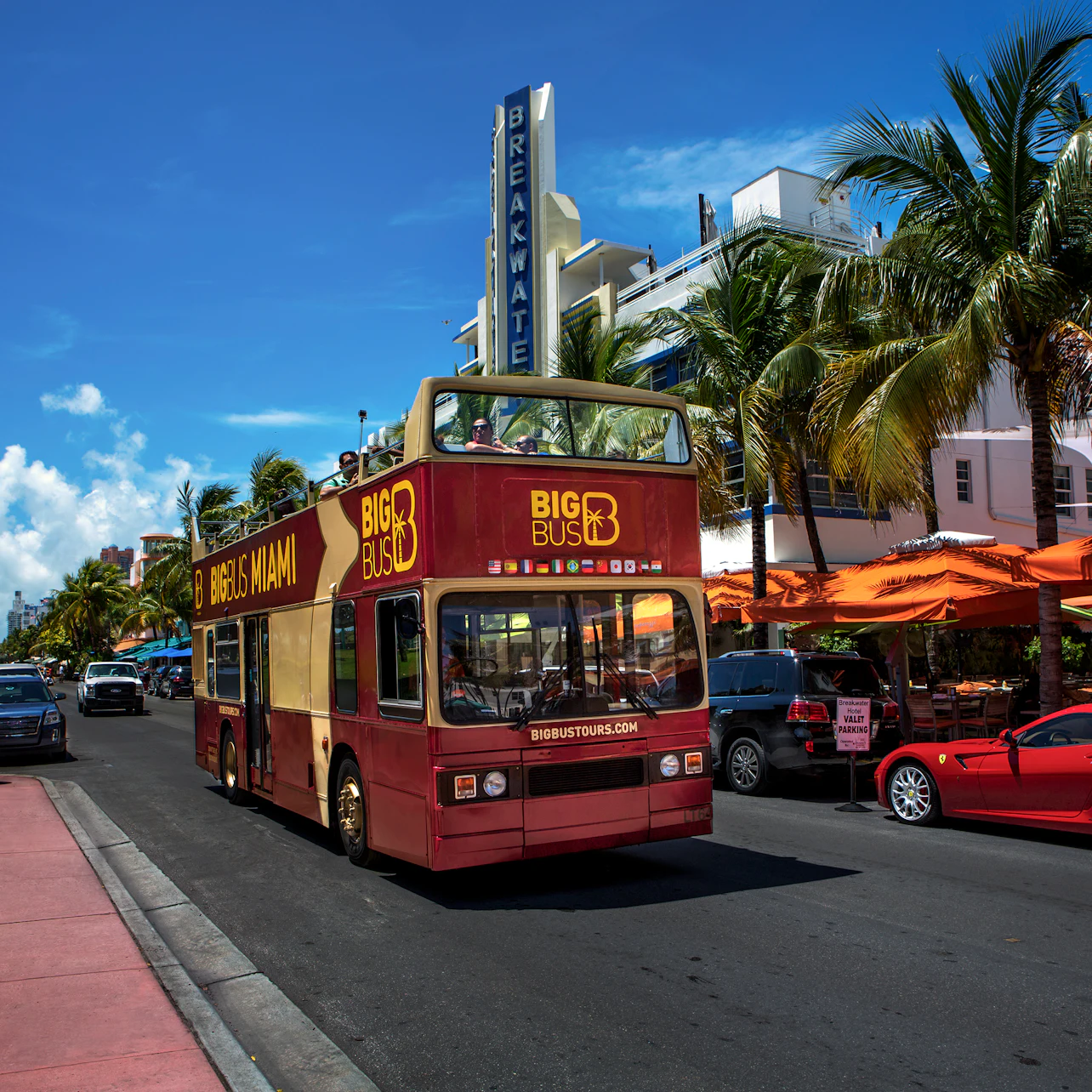 A red double-decker tour bus on a palm-lined street with outdoor cafes and the Breakwater Hotel in the background.