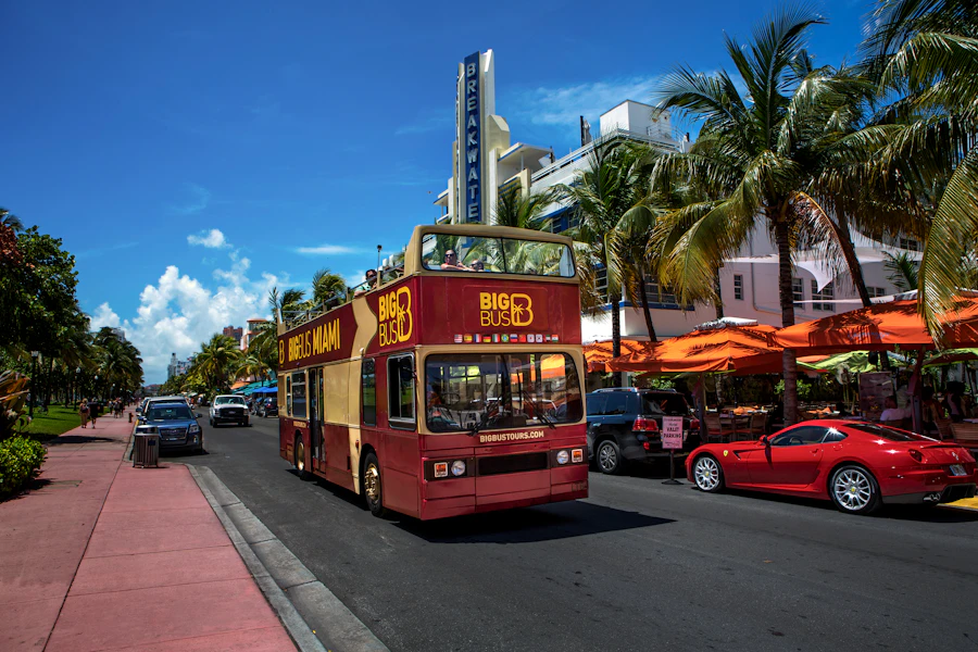 Excursion aux Everglades depuis Miami