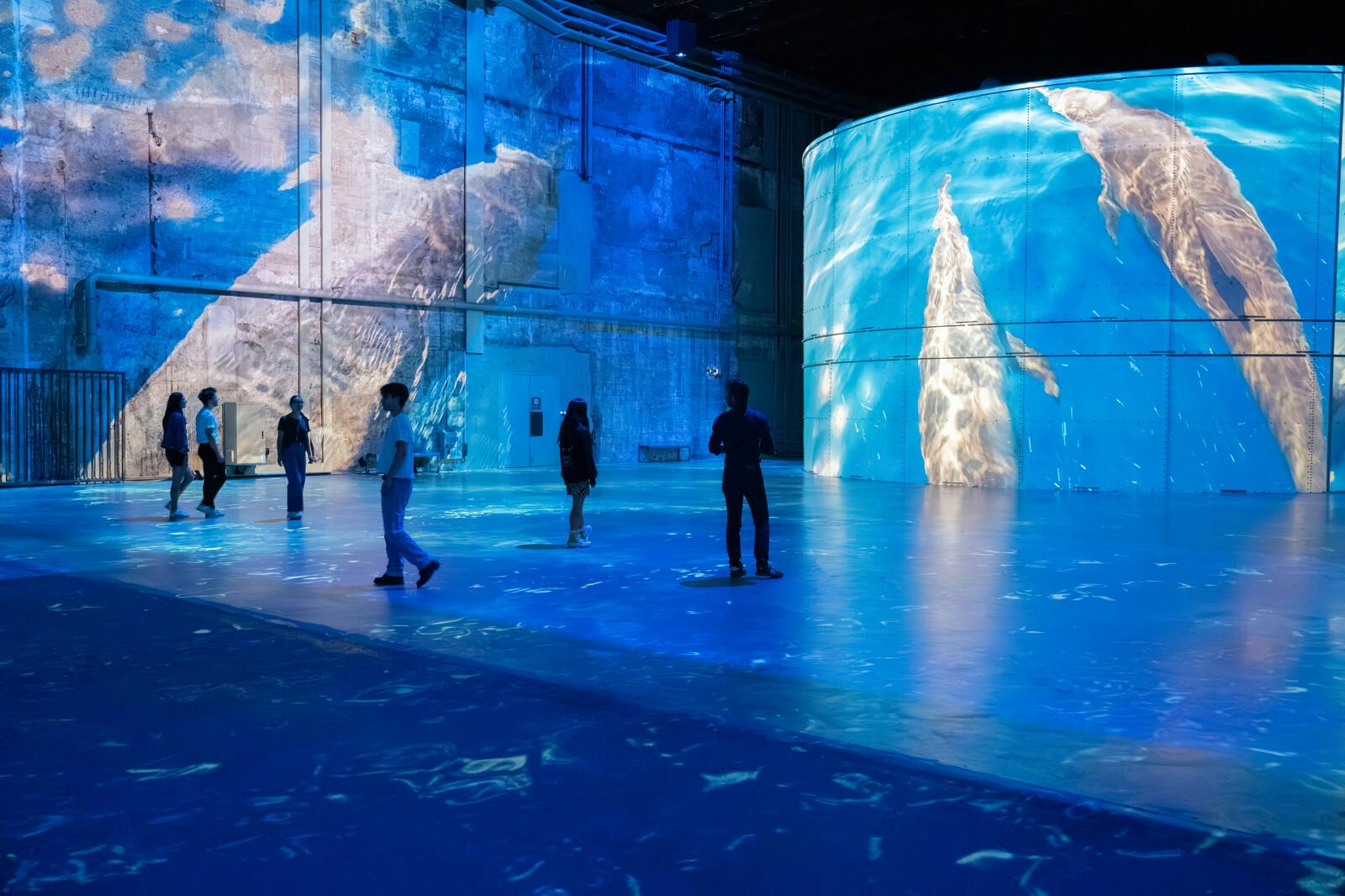 Persones de peu en una sala gran amb projeccions blaves de terra a sostre que creen un entorn subaquàtic immersiu.