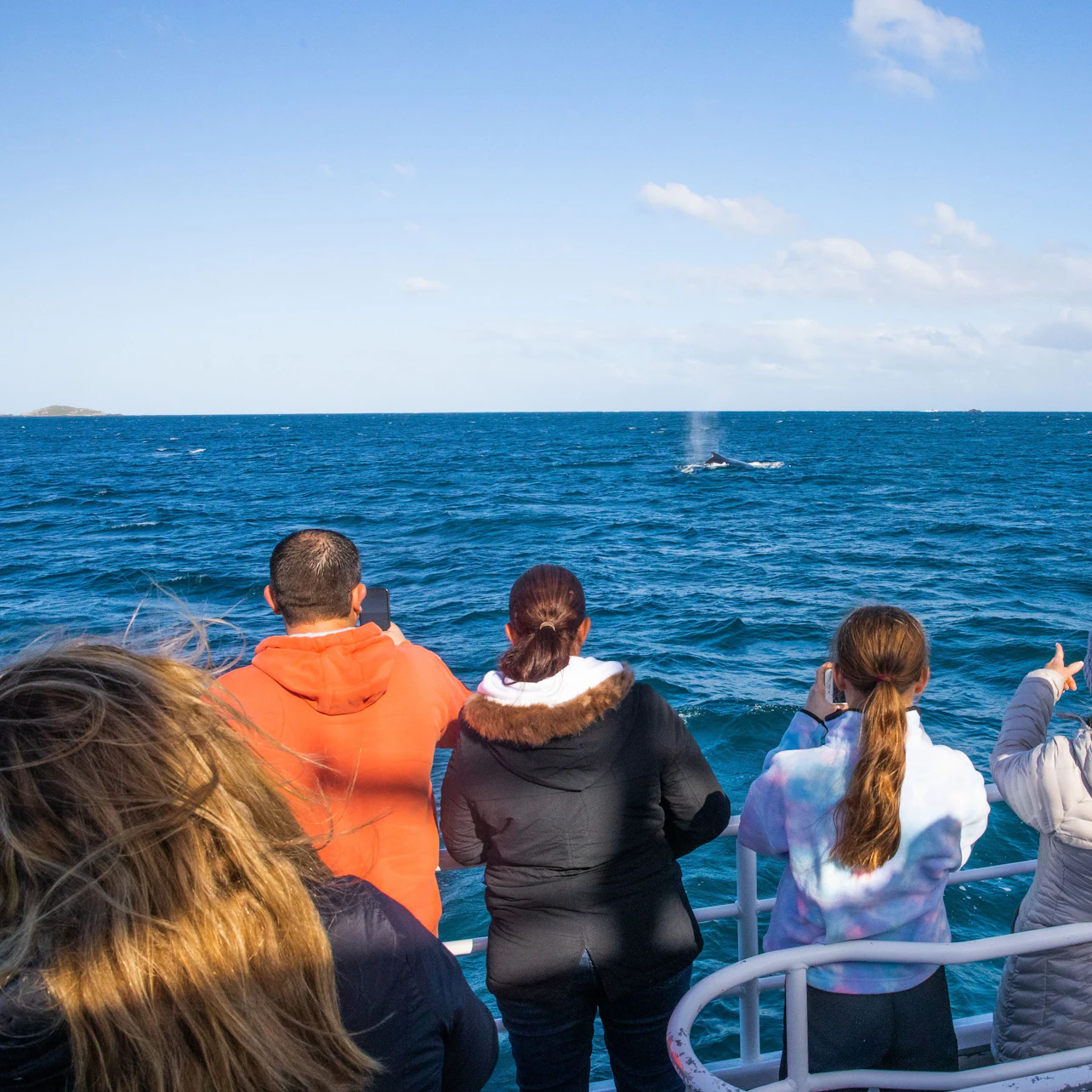 People on a boat watching a whale spout water in the ocean under a clear, sunny sky.