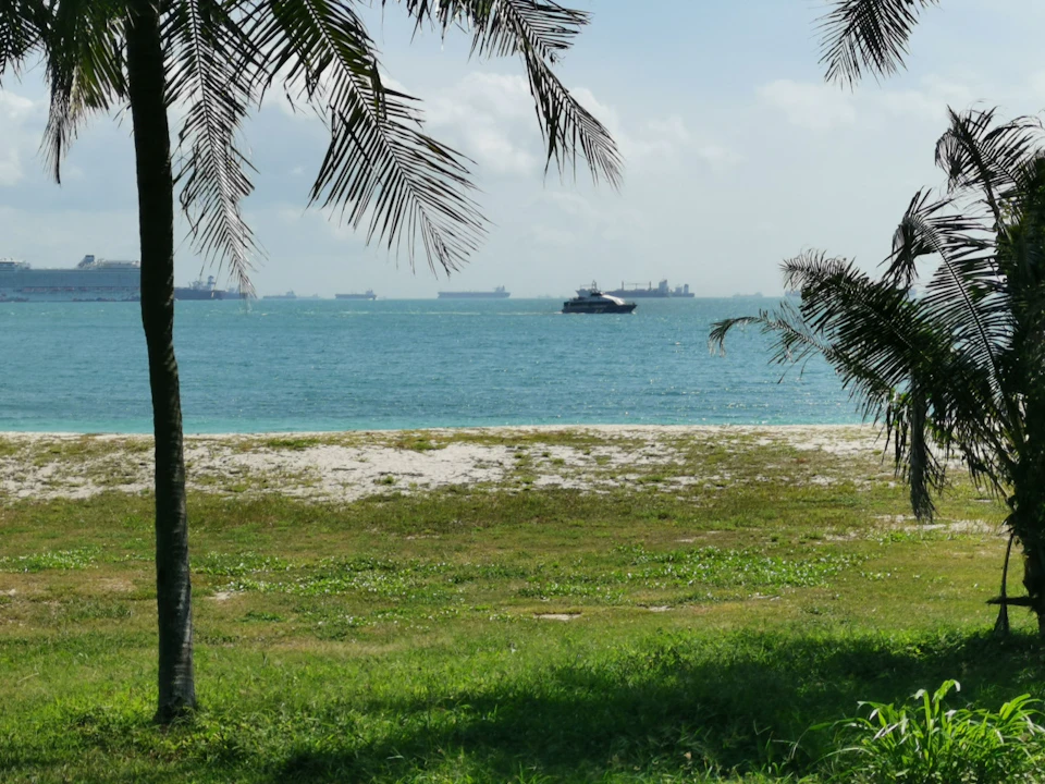 A beach scene with green grass in the foreground, turquoise water, several ships in the distance, and palm trees framing the view.