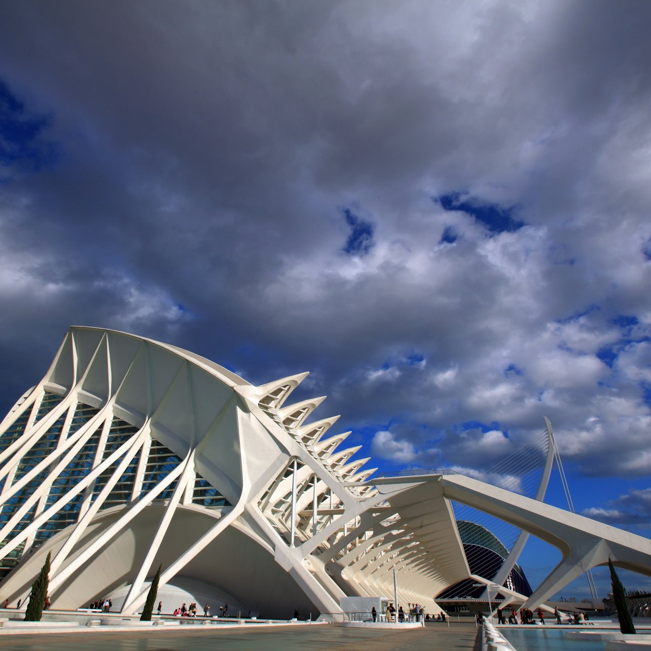 Museo della Scienza di Valencia: Salta la fila - Alloggi in Valencia