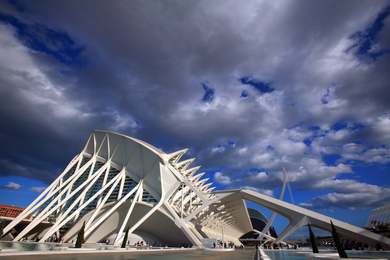 Museo della Scienza di Valencia: Salta la fila - Alloggi in Valencia