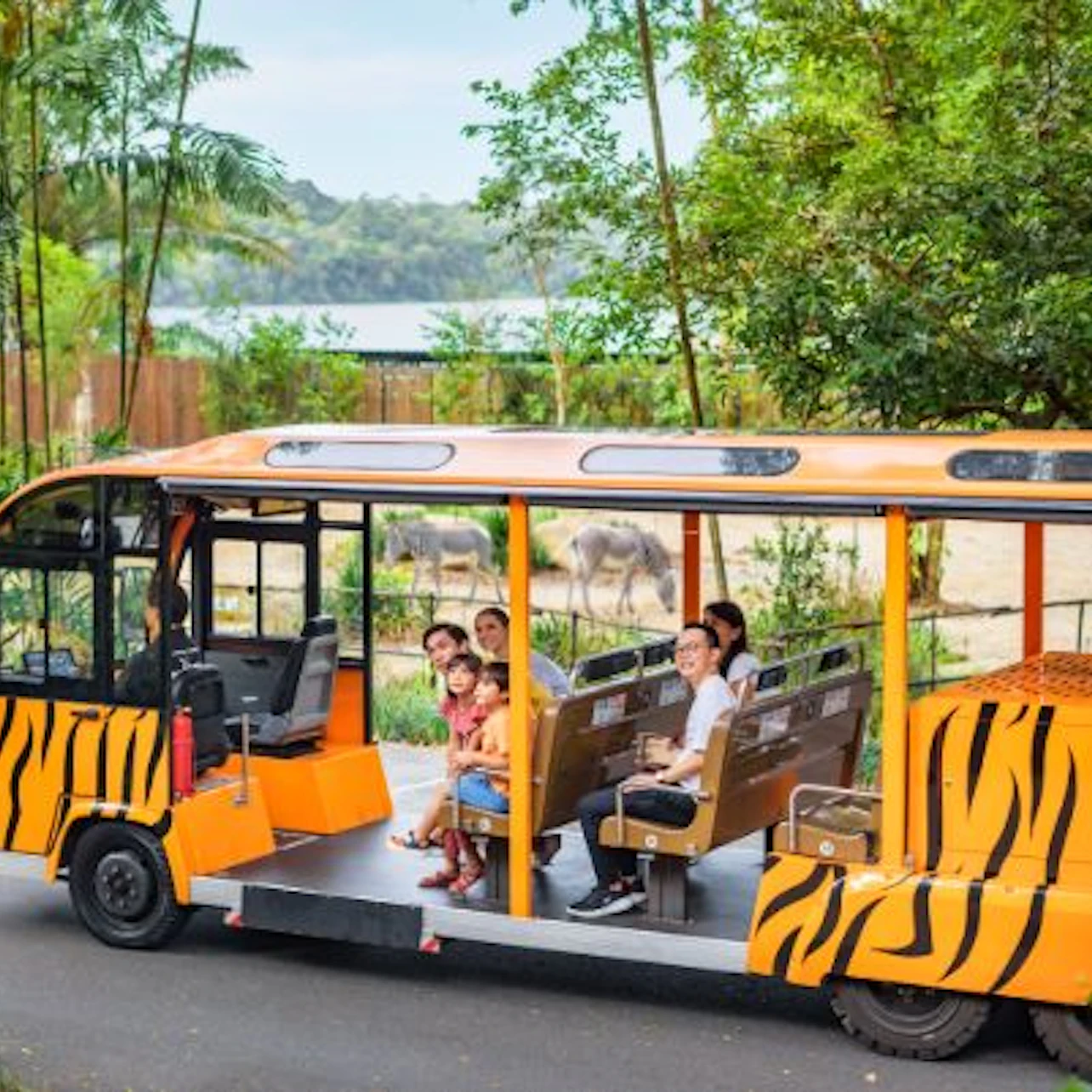 Singapore Zoo: Entry Ticket in Singapore β Tiqets