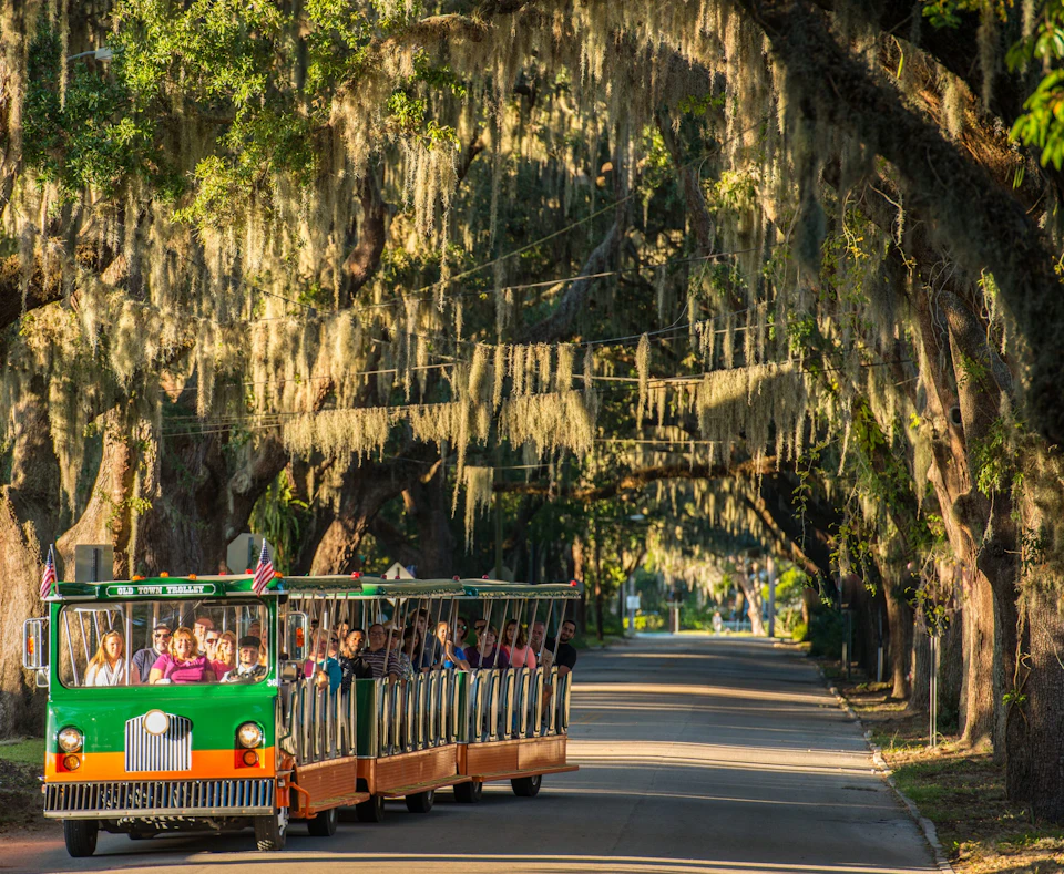 Green and brown open-air trolley with passengers driving down a tree-lined street with Spanish moss hanging from the branches.