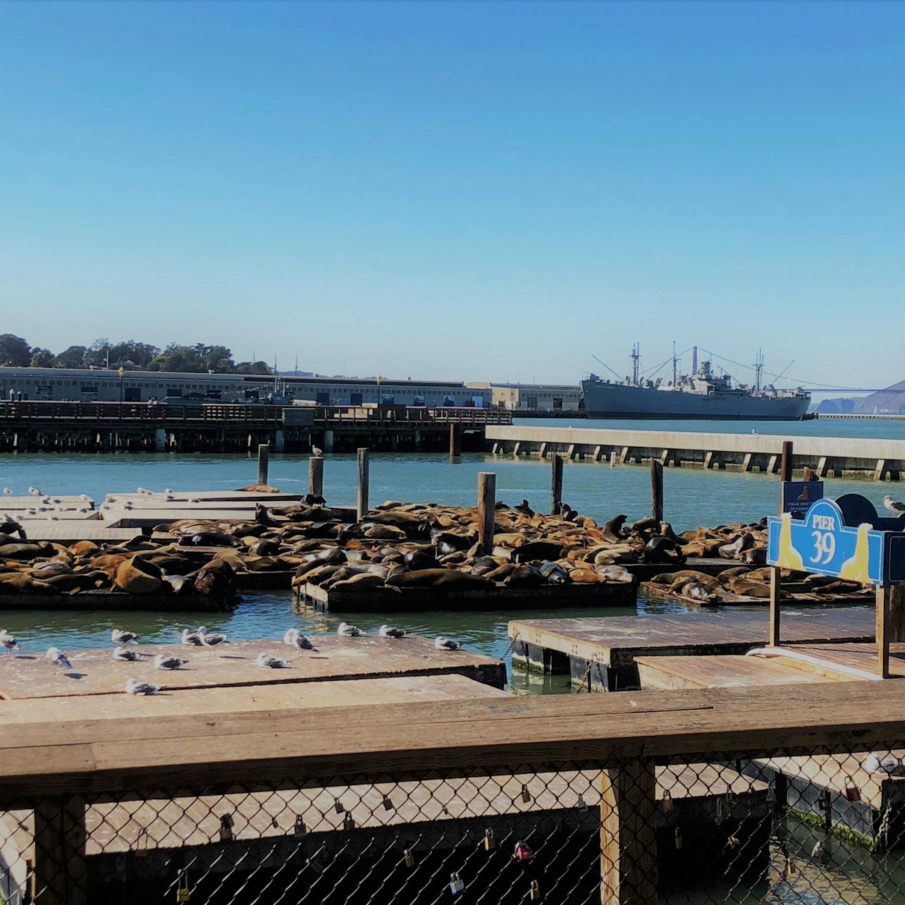 Recorrido a pie por Fisherman's Wharf - Alojamientos en San Francisco