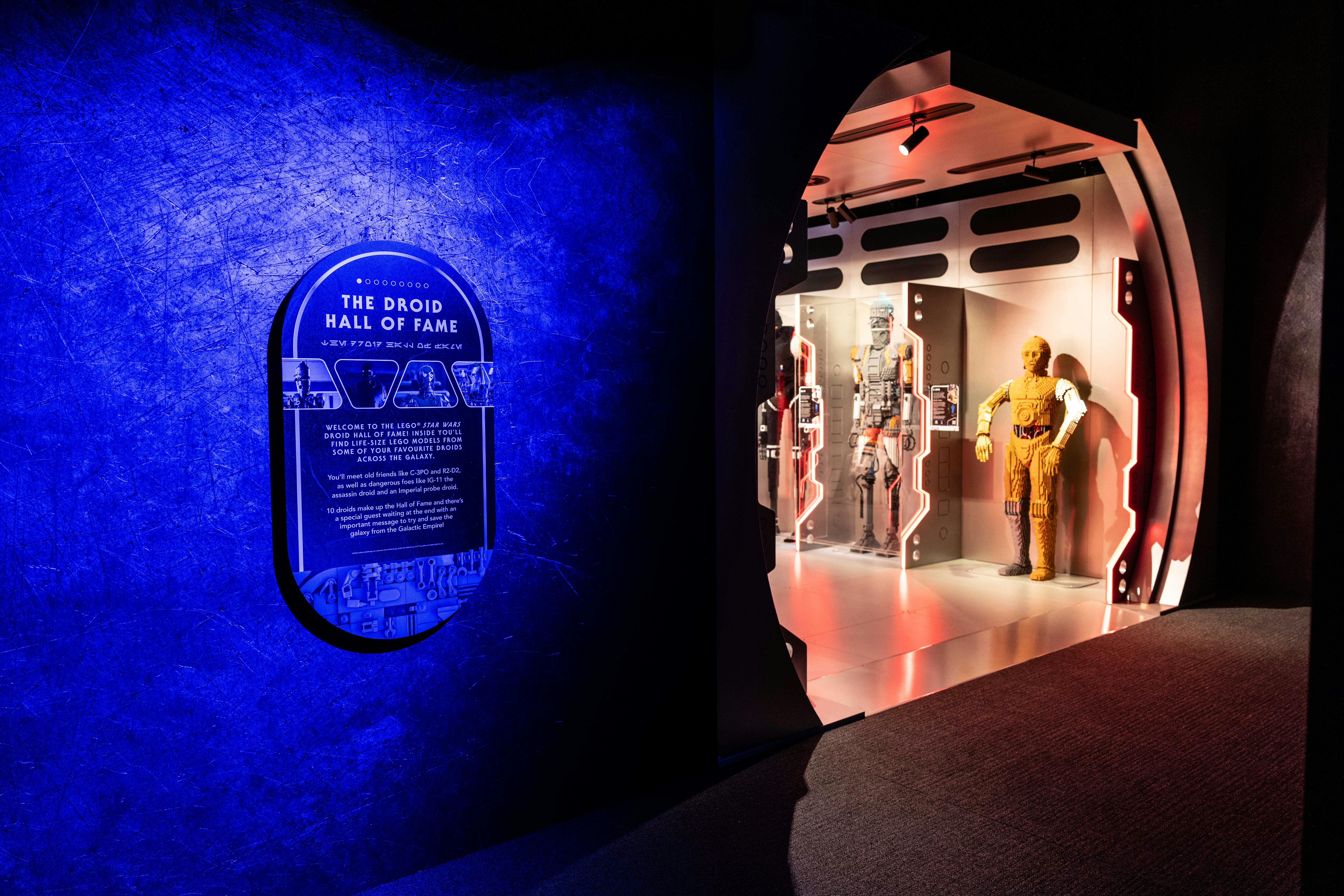 Ingresso alla mostra "Droid Hall of Fame" con modelli di droidi a grandezza naturale, illuminati da luci blu e rosse.