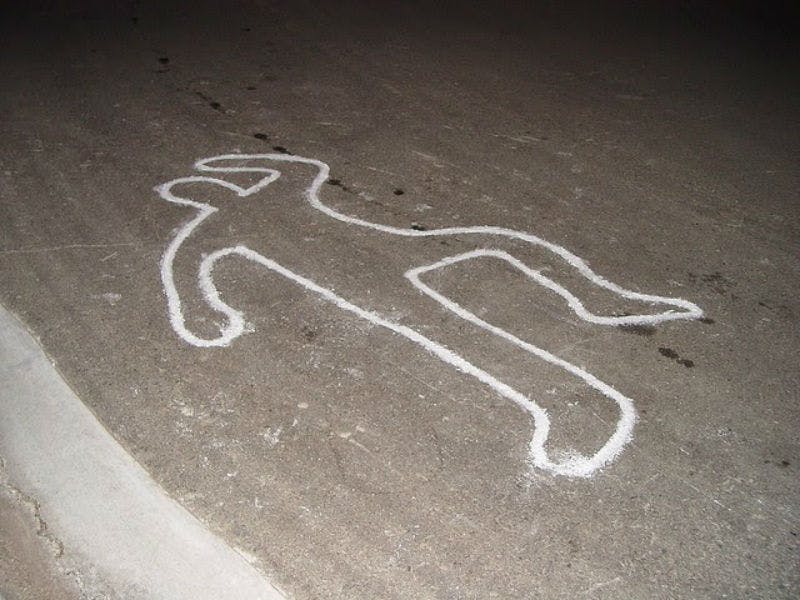 Chicago Crime & Mob Bus Tour Criminals, Mobsters and Gangsters I