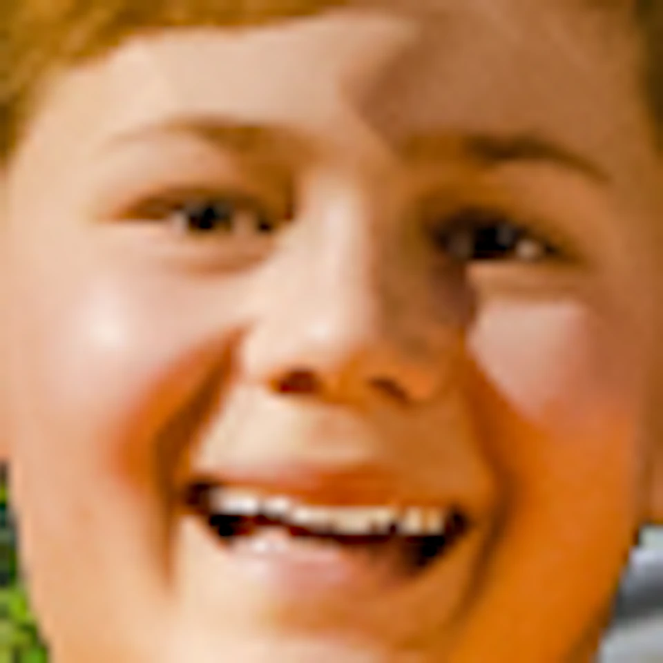A boy slides down a shiny, metallic slide. Behind him is a tall slide tower with a playful face covered in greenery.