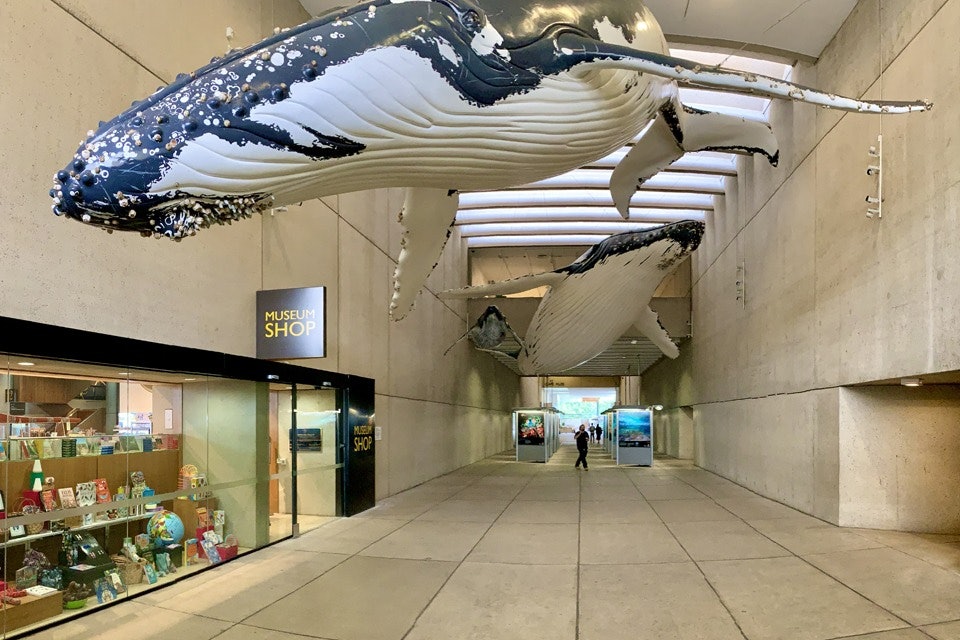 Qld Museum Queensland Museum Kurilpa, South Brisbane | Book Tickets, Tours & More