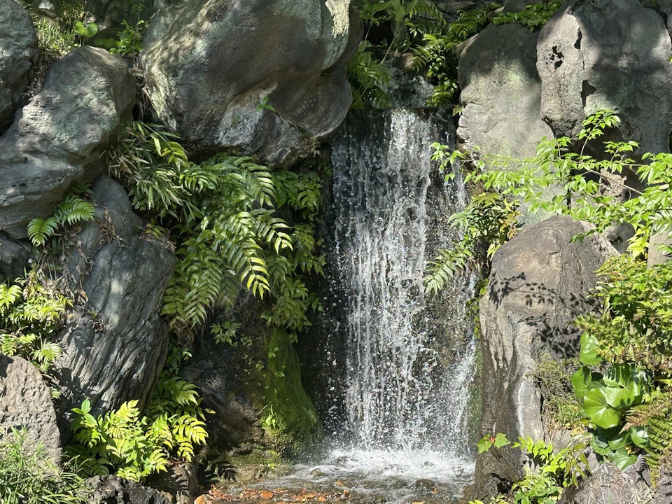 A small waterfall cascading between rocks surrounded by lush green foliage in a natural setting.