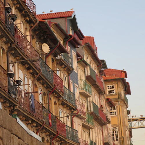 Porto: Guided Walking Tour + Lunch + Wine Tasting + Boat Ride - Photo 8