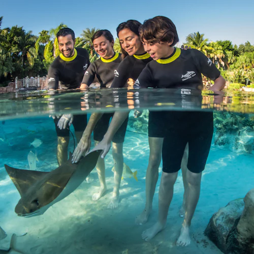 Discovery Cove: Entry Ticket - Photo 13