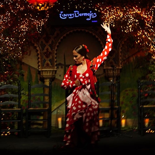 Flamenco Tablao Torres Bermejas