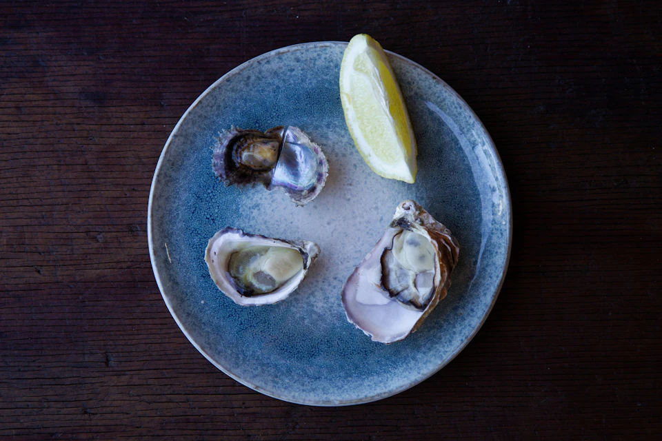 Oysters on a plate