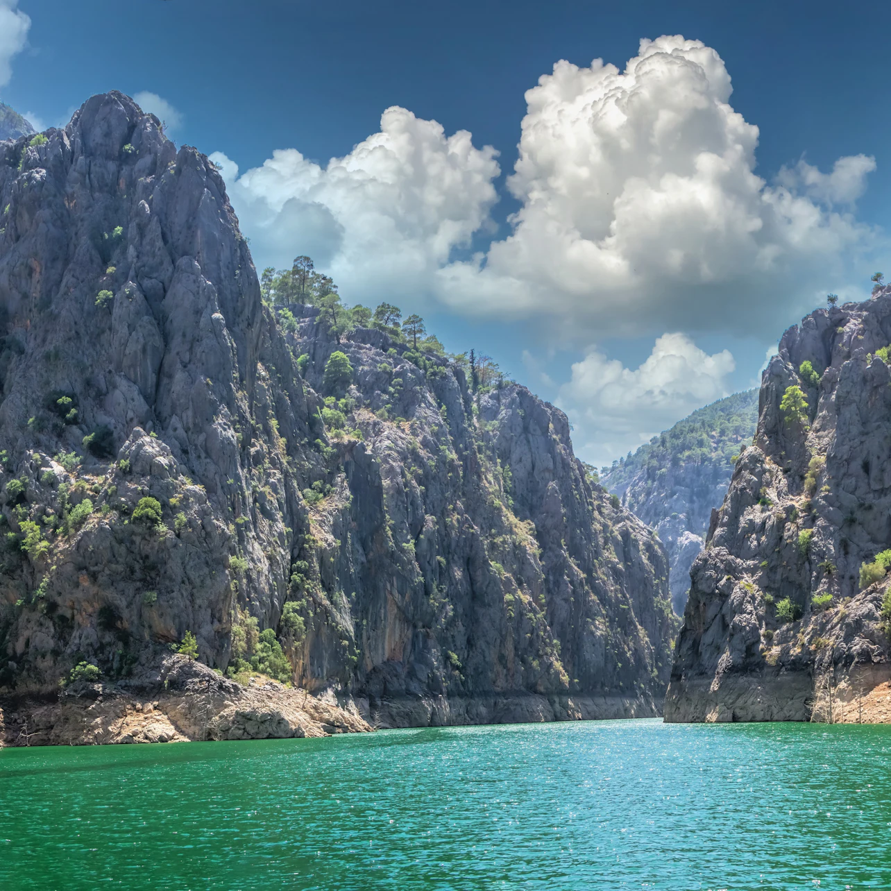 An overview of the green lake