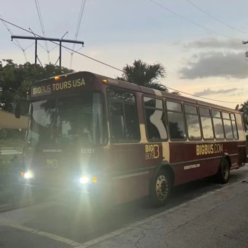 Miami: Everglades Airboat Tour, Biscayne Bay Cruise & Open-top Bus - Photo 8