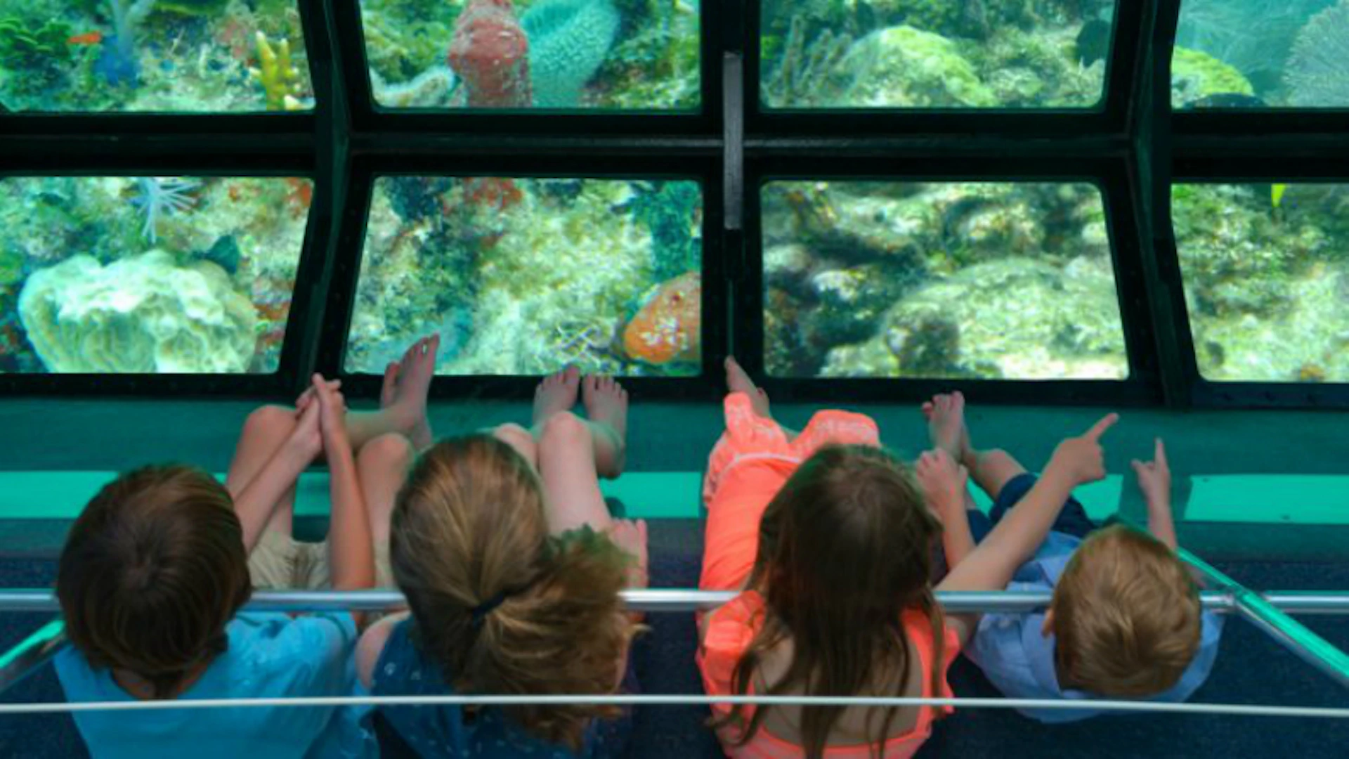 Children sit in a glass-bottom boat, looking down at coral reefs and marine life beneath the clear water.