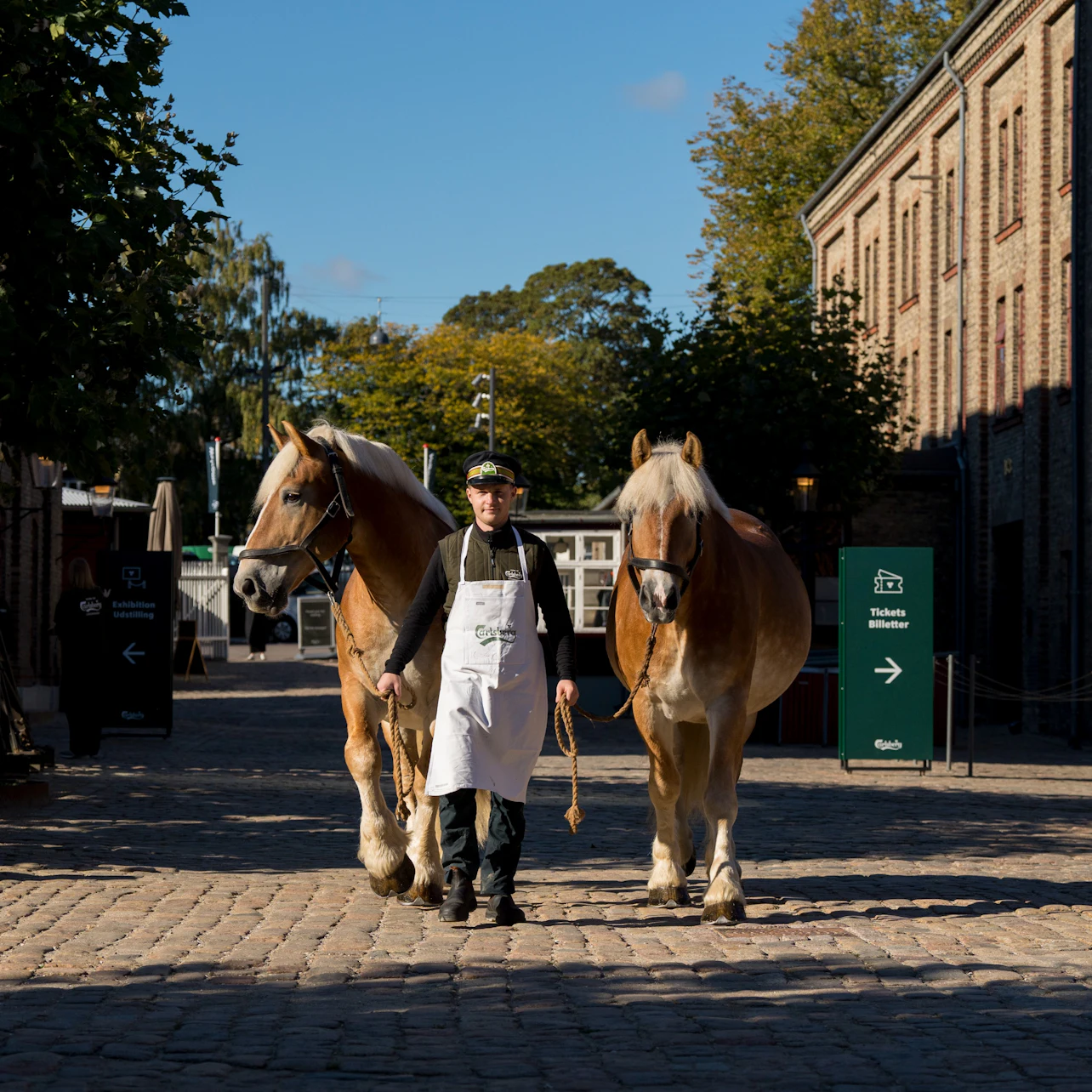 Home of Carlsberg: Entry Ticket + Drink in Copenhagen β Tiqets