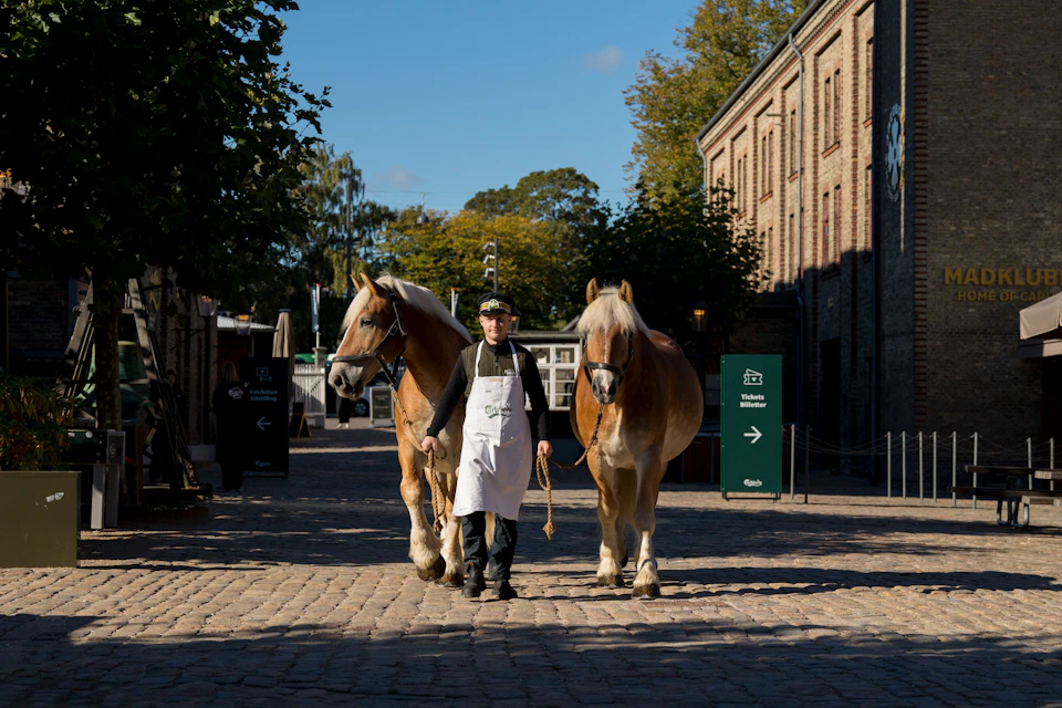 Brewery horses