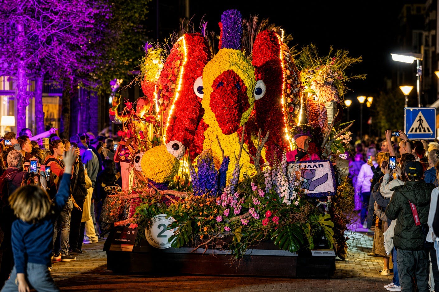 Tulip Experience Amsterdam + Flower Parade: Day Trip from Amsterdam