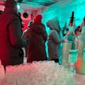 Guests experiencing the IceBar Cologne.